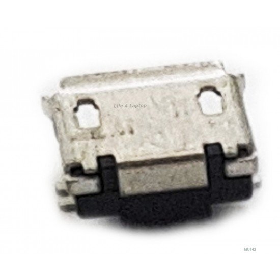 Micro USB lizdas 