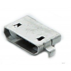Micro USB lizdas 