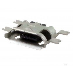 Micro USB lizdas Micro USB lizdas