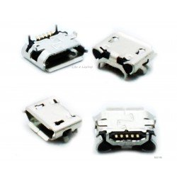 Micro USB lizdas