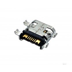 Micro USB lizdas Samsung Galaxy SCH