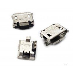 Micro USB lizdas 