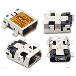 Mini USB lizdas