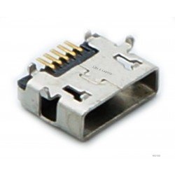Micro USB lizdas Micro USB lizdas