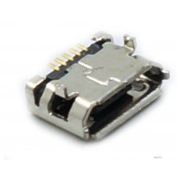 Micro USB lizdas Micro USB lizdas