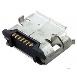 Micro USB lizdas 