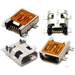 Mini USB lizdas
