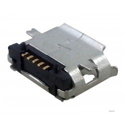 Micro USB lizdas