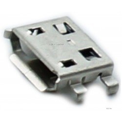 Micro USB lizdas 
