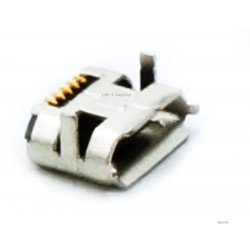 Micro USB lizdas