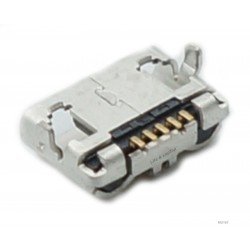 Micro USB lizdas 