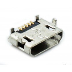 Micro USB lizdas