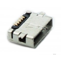 Micro USB lizdas Micro USB lizdas