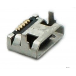Micro USB lizdas Micro USB lizdas