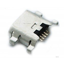 Micro USB lizdas 