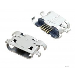 Micro USB lizdas