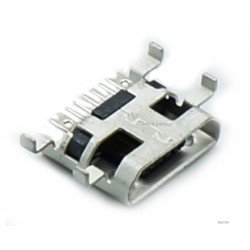 Micro USB lizdas