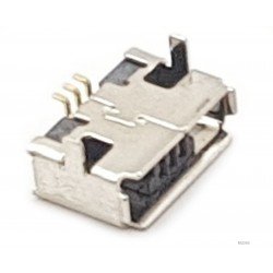 Micro USB lizdas Micro USB lizdas