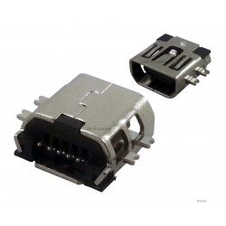 Mini USB lizdas