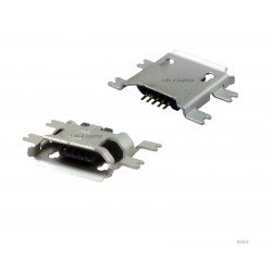 Micro USB lizdas 