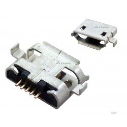 Micro USB lizdas 