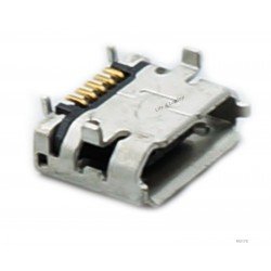 Micro USB lizdas