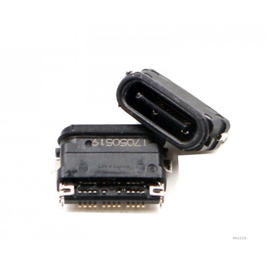 USB Type C lizdas 