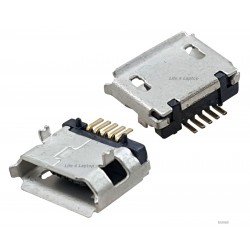 Micro USB lizdas 