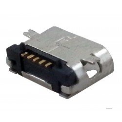 Mikro USB lizdas 